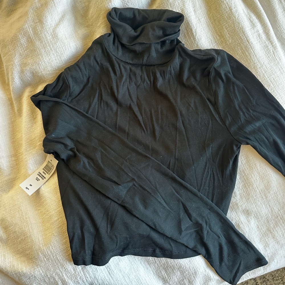 Aritzia Black Long Sleeve Turtleneck